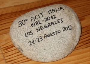 30 anniv acit